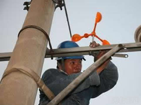 �L���(q��)�B���ĬF(xi��n)������